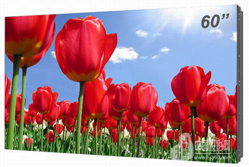 ҕӍƳ60Ӣ硢55ӢһҺ@ʾԪ